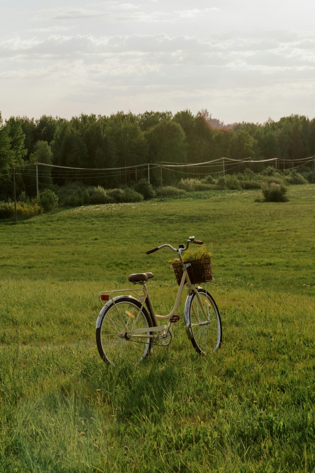Charming vintage bicycle in a lush green meadow under a warm summer sky.