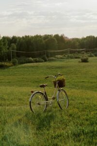 Charming vintage bicycle in a lush green meadow under a warm summer sky.