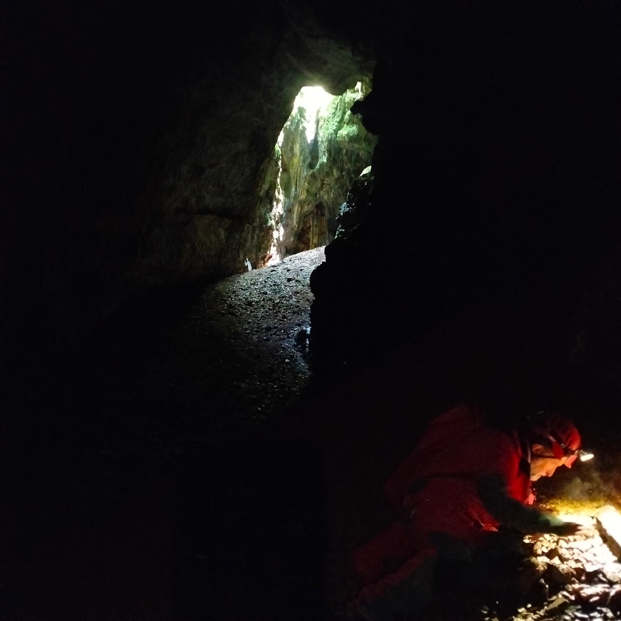 FAUNA INTERNA SOTTERRANEA
